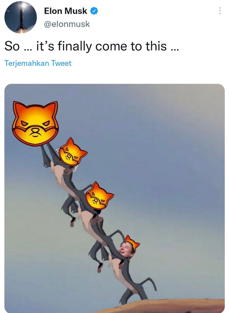 SPKYSHIB's tweet photo. @elonmusk is it time? https://t.co/0K7kBOPAjb