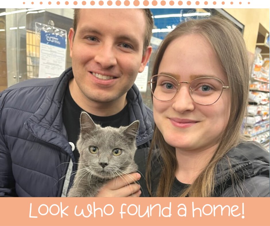 FeralCatProgramGA tweet media