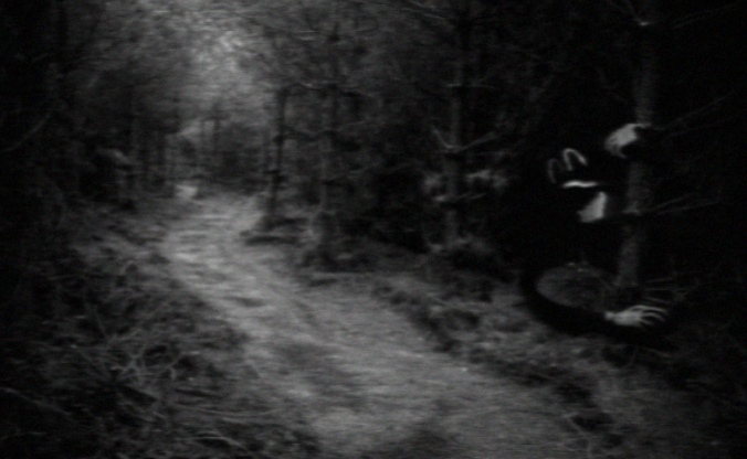 Cartoon Dog, Program C4D