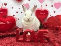 The Sol of Synth-Pop (@solsynth) on Twitter photo Back on Sunday for a special Valentines Day show. ❤️😊❤️
Featuring: <a href="/DarwinMcD/">darwinmcd</a> <a href="/welovematthias/">Matthias</a> @HOMETIME_music <a href="/iloveBOML/">Breathe Of My Leaves</a> <a href="/MORETHECREW/">MORE</a> <a href="/EminentSolJimm/">Jimm K.</a> <a href="/weareshelterhq/">weareshelter</a> <a href="/petshopboys/">Pet Shop Boys</a> <a href="/depechemode/">Depeche Mode</a> & loads more.
See ya on Sunday! 😎
- Jimm K. -
#synthpop #synthwave #retrowave Back on Sunday for a special Valentines Day show. ❤️😊❤️
Featuring: <a href="/DarwinMcD/">darwinmcd</a> <a href="/welovematthias/">Matthias</a> @HOMETIME_music <a href="/iloveBOML/">Breathe Of My Leaves</a> <a href="/MORETHECREW/">MORE</a> <a href="/EminentSolJimm/">Jimm K.</a> <a href="/weareshelterhq/">weareshelter</a> <a href="/petshopboys/">Pet Shop Boys</a> <a href="/depechemode/">Depeche Mode</a> & loads more.
See ya on Sunday! 😎
- Jimm K. -
#synthpop #synthwave #retrowave