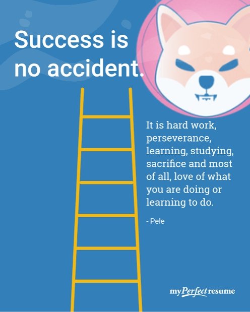 Success is no accident - $SHIB