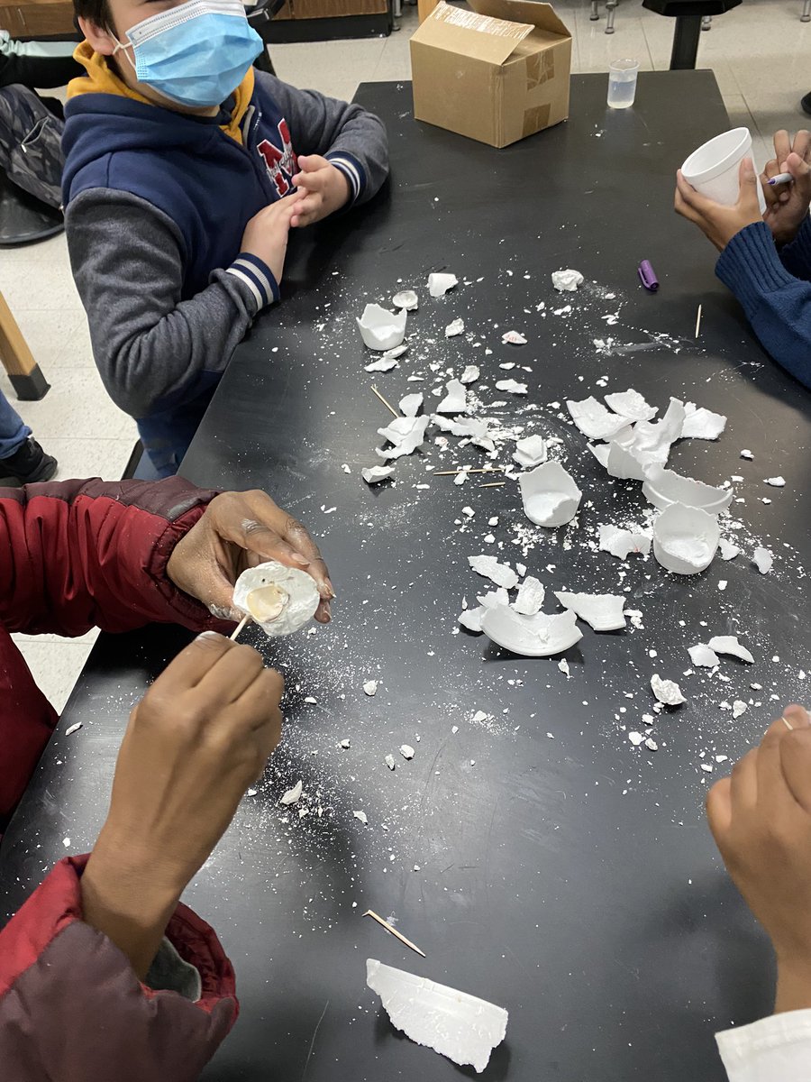Plaster of Paris fossils…this is always fun