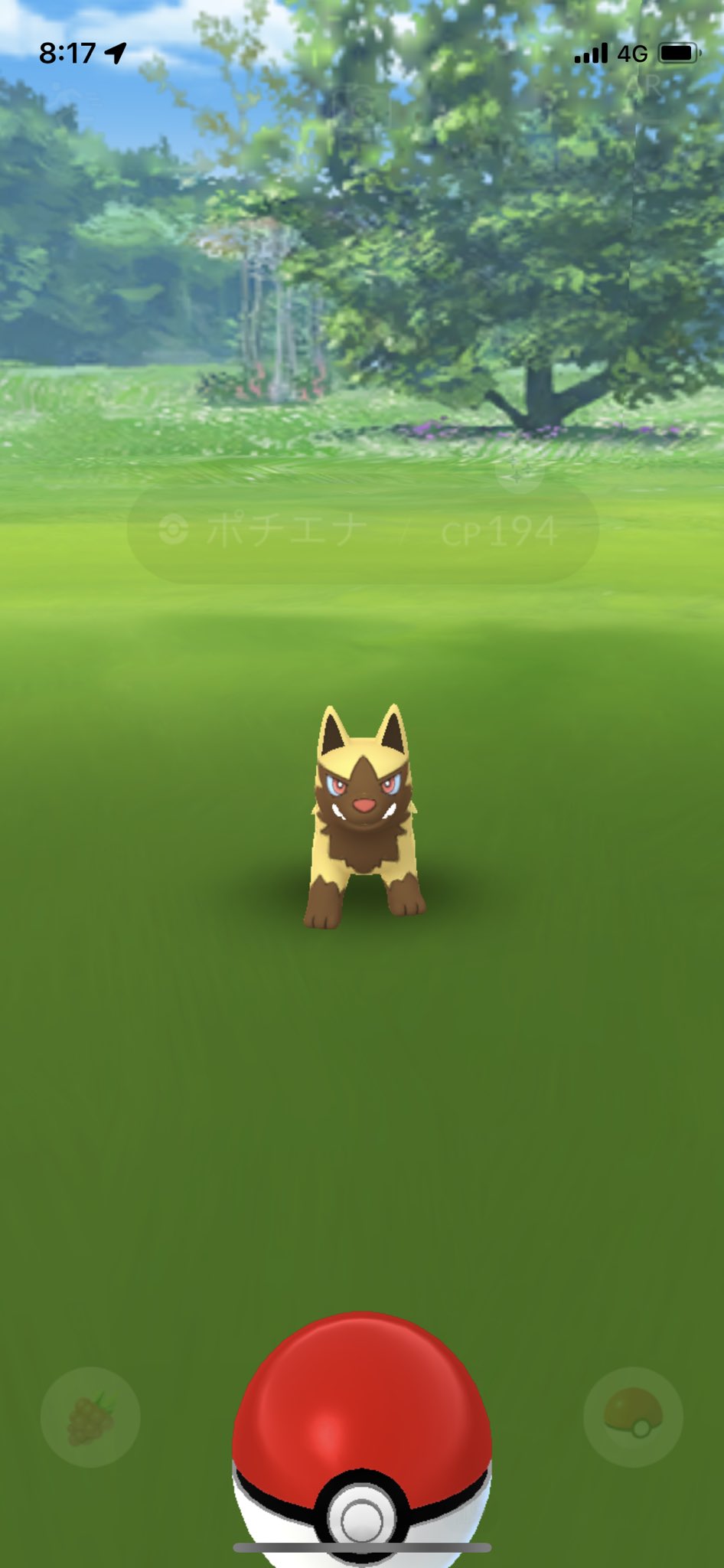 Hiro 朝イチからワンワン Pokemongo ポケモンgo ポチエナ 色違い 三度目まして T Co 77dgdcam41 Twitter