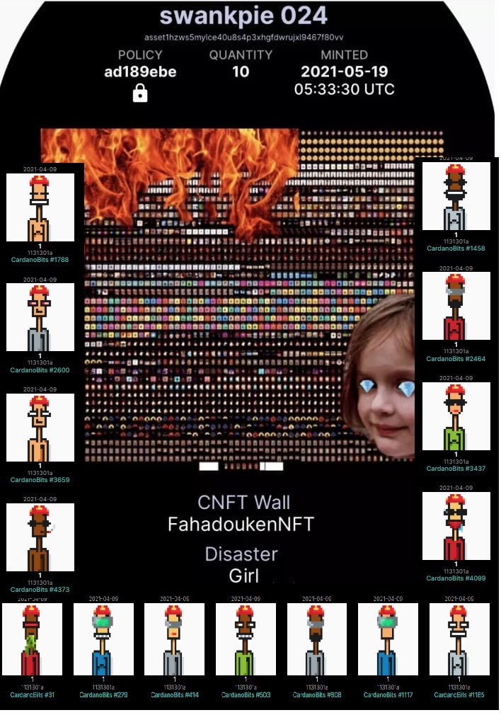 GarotinhoCrypto's tweet photo. BREAKING NEWS! An NFT from May 2021 (@swankpie) was detected in the Cardano Blockchain trying to set fire to @FahadoukenNFT Wallet. Our #CbitsFiremen are working hard to contain the flames. Show support to to our HEROES! #CbitsHEROES @CbitArmy @CardanoBits HA OOO HA OOO HA OOO https://t.co/Zck9VxGKzP