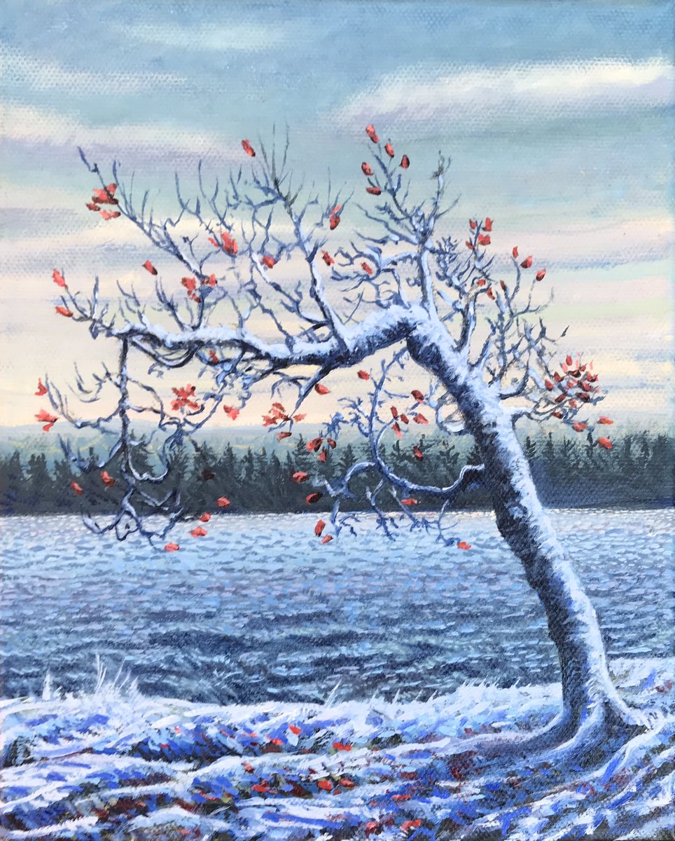 johnkinsella52's tweet photo. November Snow, Algonquin 2021
Oil on canvas 
10 x 8 inches 
#art #artlover #oilpainting #painting #snow #earlysnow @kimahesse @Anishinabe_Life @Femme61 @marmelyr @Muskoka411 https://t.co/IG3gpcDUYY