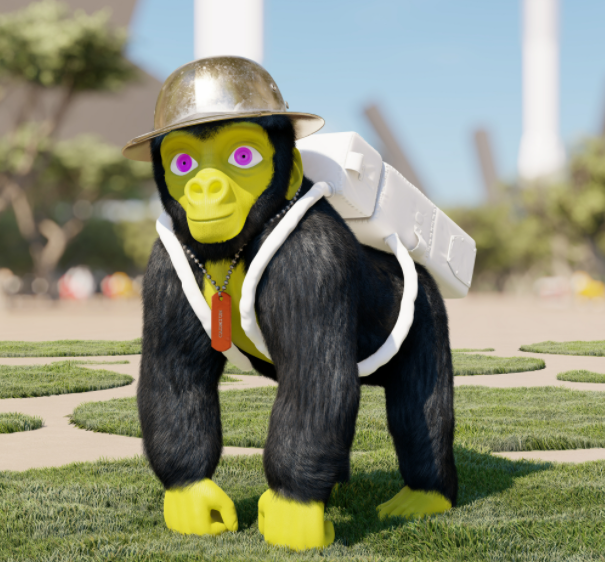 Algorillas.algo tweet media
