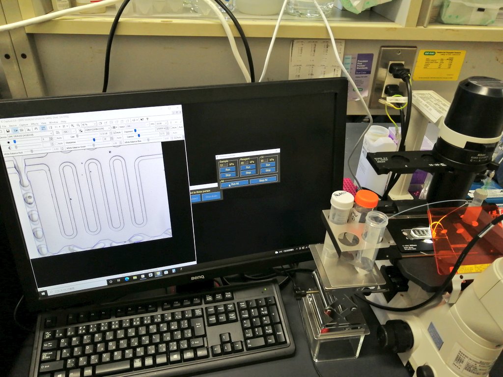 KKo1wa1's tweet photo. ไป้ฑใใใฃใฆใใพใใใผ๏ผ
็ฎๆใ 1 RUN/้ฑ!!
#Dropseq https://t.co/FAwJRzNqYX