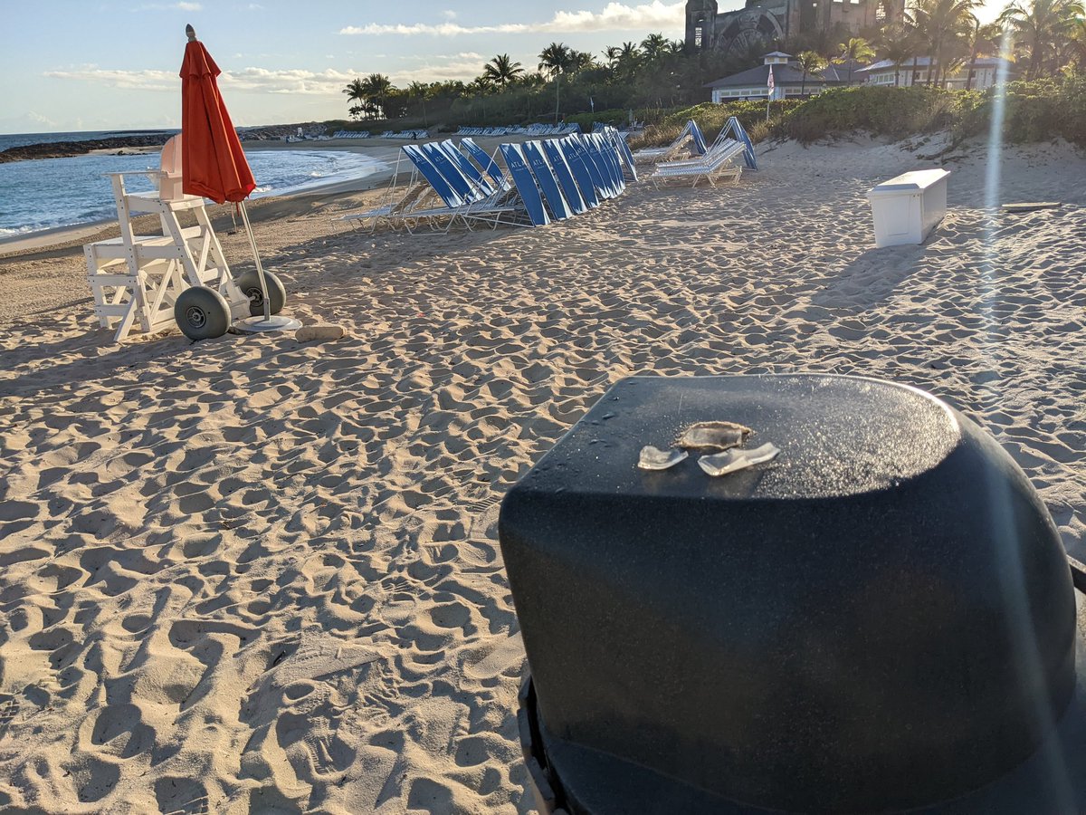 Dominic A. Saintfort tweet media