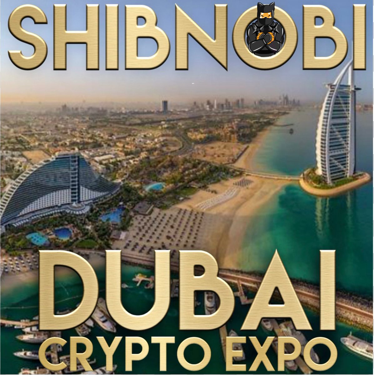 PoorBoyzSol's tweet photo. @ShinjaToken @Shib_nobi #ShinjaTheNext1000XGem 
THE BEST CRYPTO PROJECT, AND COMMUNITY EVER CREATED! BY FAR THE ONE CRYPTO PROJECT I DON'T HESITATE TO RECOMMEND INVESTING IN TO ANYONE!💯🎯 #SHIBNOBI #SHINJA FOR LIFE!!
#SCORPIOCRYPTO 
#DOJOSWAP 
#KATANAWALLET 
#KUSARIBLOCKCHAIN 
#DOJOVERSE https://t.co/IJKgSibKDy