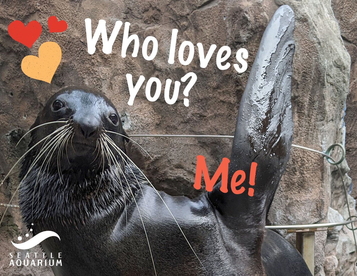 If this is for you, I think you know. Friends count--bigly.