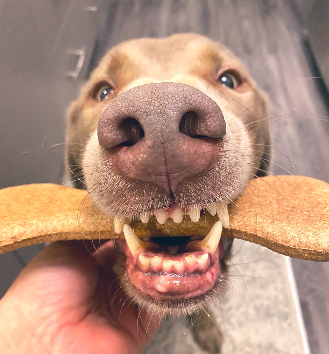 Jackie Connell tweet media