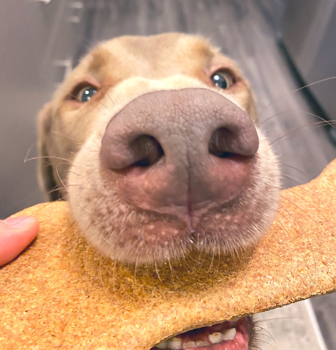 Jackie Connell tweet media