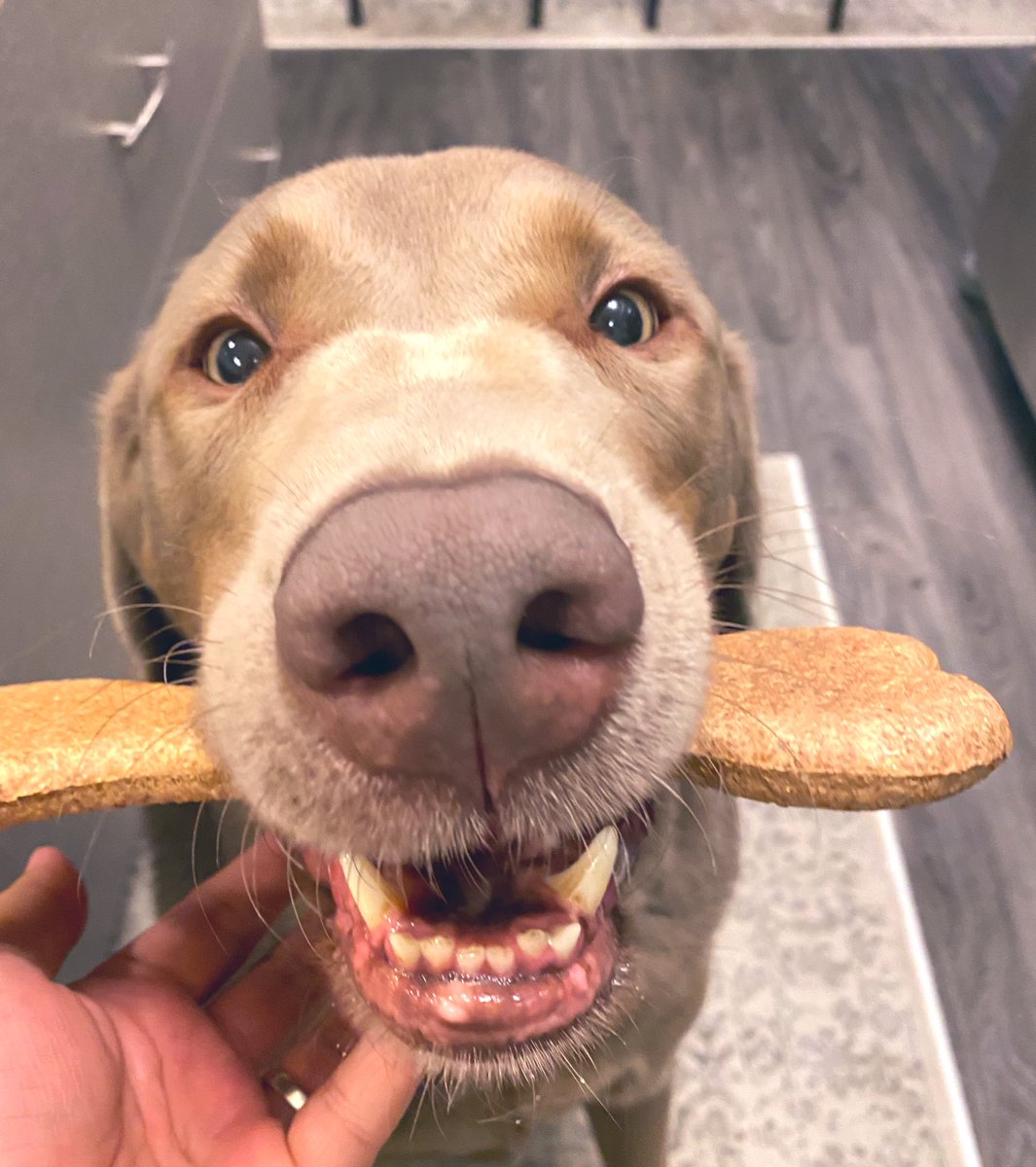 Jackie Connell tweet media