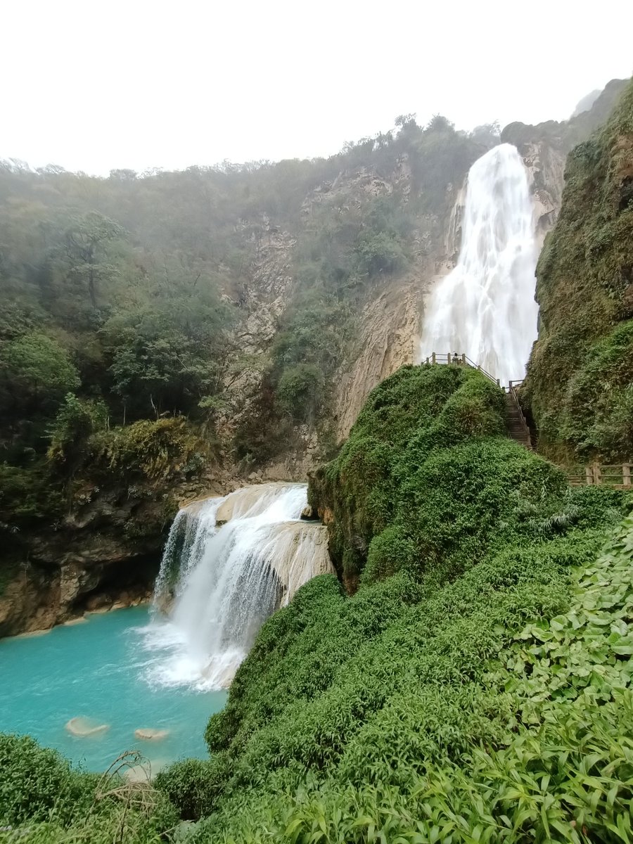 Miguel_Alan's tweet photo. No podía irme de #Chiapas sin conocer las #CascadasdeChiflón y fue una genial experiencia !! 😎💯👌🏽 @LivingAndTravel @VisitMex 
#ViajemosTodosporMéxico #ExplorandoChiapas https://t.co/1bpFXgoFuO