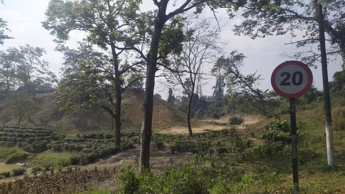 Rohitskaziranga's tweet photo. Destruction of Kanchanjuri wildlife corridor (visible from NH-37) of @kaziranga_ is the perfect example of fake promises of @assamforest &amp; @mygovassam towards conservation. Silence of NGO bosses &amp; SBWL members is praiseworthy. @amit62sahai @assampolice @dc_nagaon @IfsSivakumar https://t.co/EHNvUpm4Dl