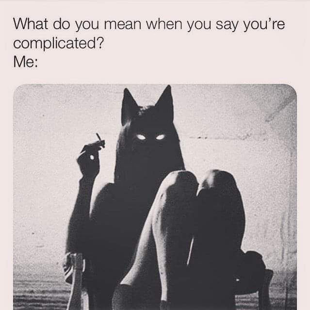 KittyValentineMeow tweet media