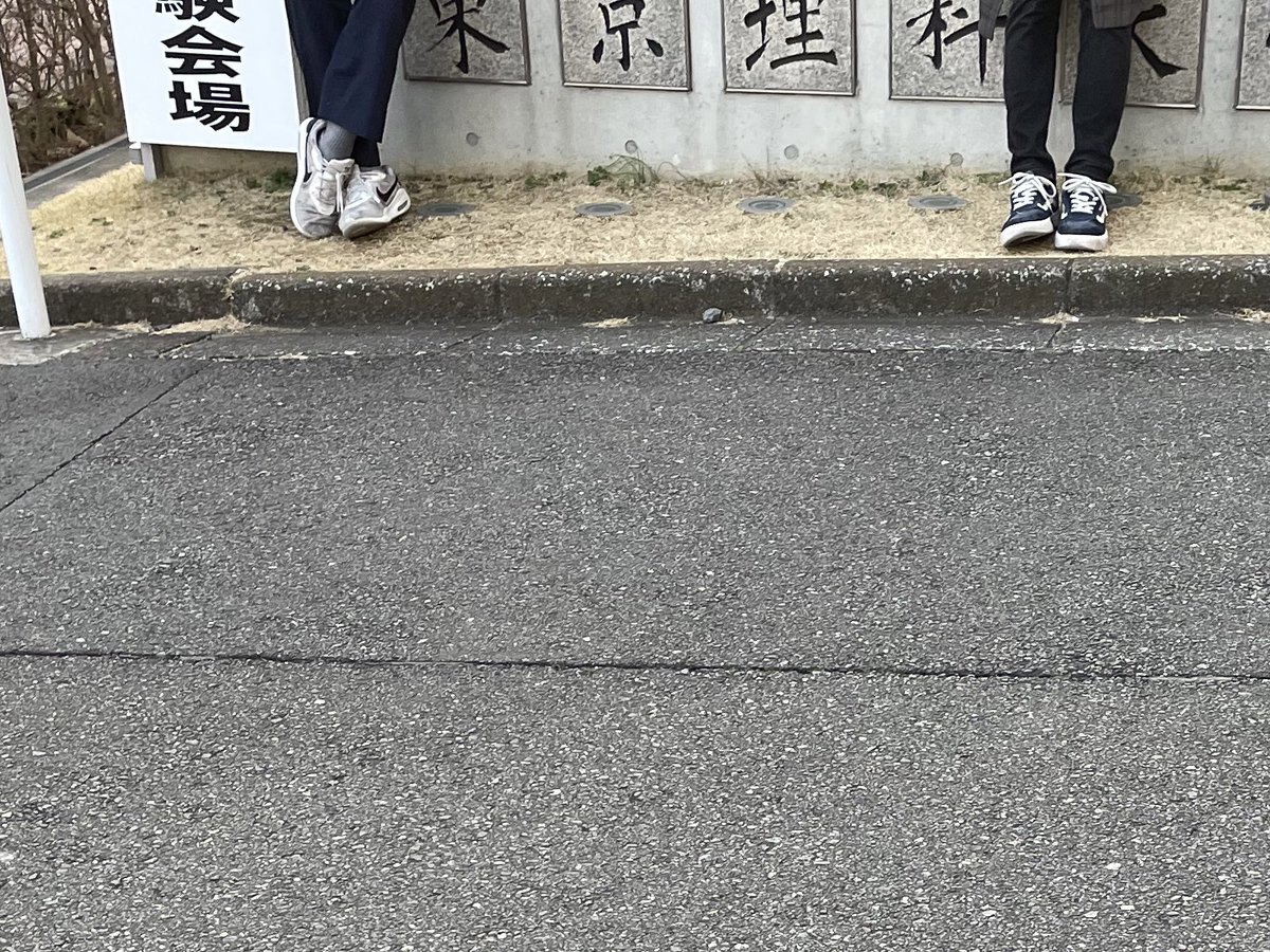 shino_apricot's tweet photo. これは危ないよって言った方がいいかな… https://t.co/miSFSzIHvy