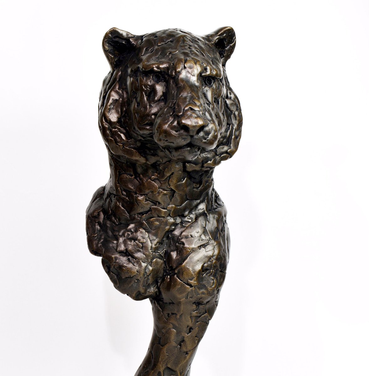 ElliotChanner's tweet image. #tiger #sculpture #tigerart #wildlifeart #tigerbust 
#contemporaryart #contemporarysculpture #bengaltiger #tigersofinstgram #interiordesign #limitededition @DSWFWildlife