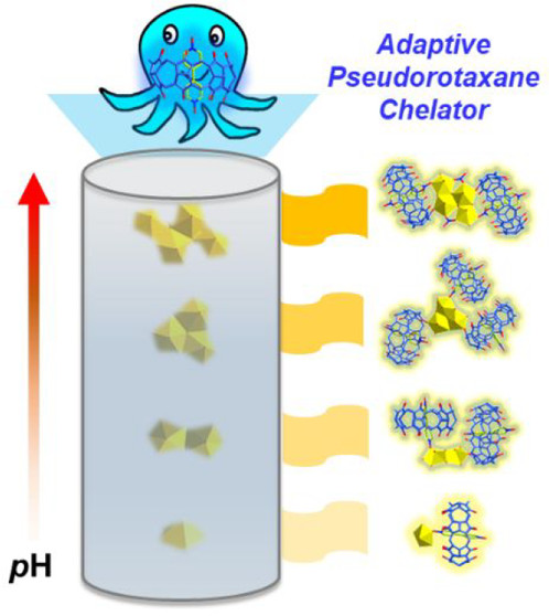 bhkenlo's tweet photo. Coordination-Adaptive Polydentate Pseudorotaxane Ligand for Capturing Multiple Uranyl Species https://t.co/VVXvq3QWI1 Mei, Zhang, Shi, and co-workers @InorgChem #uranium #polydentate #pseudorotaxane #cucurbit_7_uril #DPO #chelator #capture https://t.co/6EGbvRjqkc
