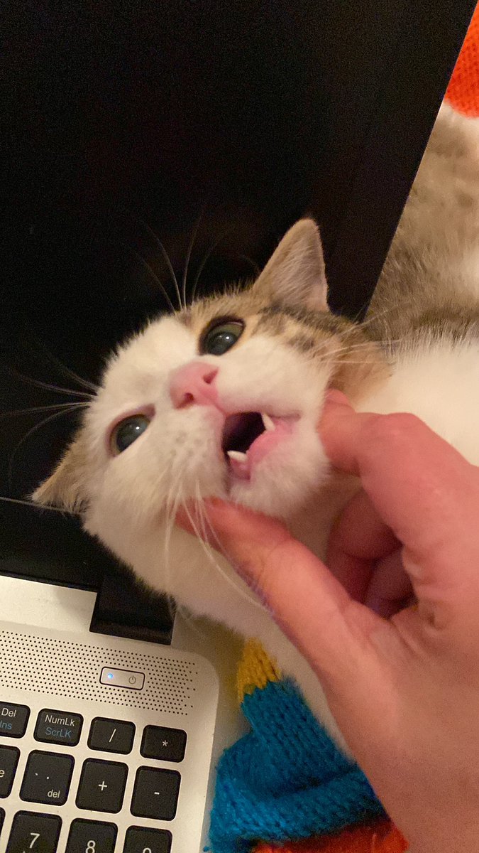 diş komtrol dişini ad