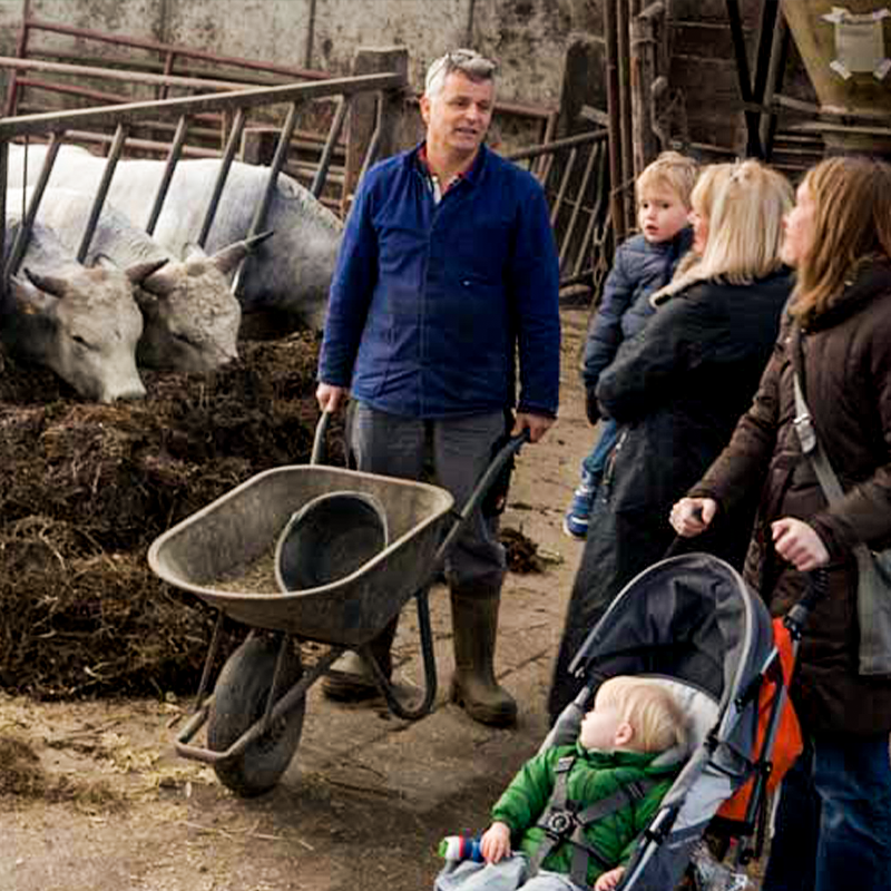 BoertBewust tweet media