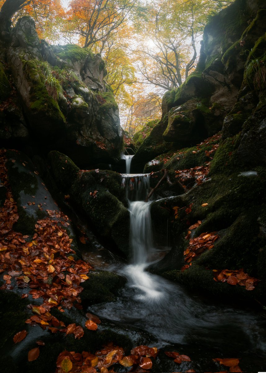 davidlgnavia's tweet photo. GM guys. what a beautifull morning. The legend @AlphaTrilogy just bid the first picture on my new collection on @opensea.  But there are still 19 more fir 0.15 eth . https://t.co/zmOxmYNhyf https://t.co/VKolXS1Lqe