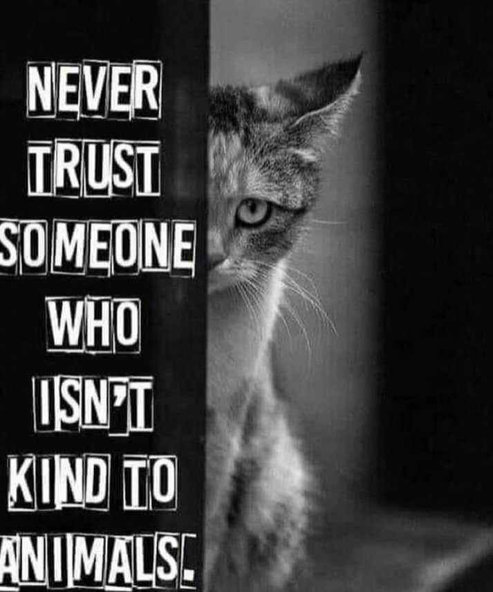 smartie1uk's tweet photo. Very appropriate this morning!!! https://t.co/a9TCo2wJuC