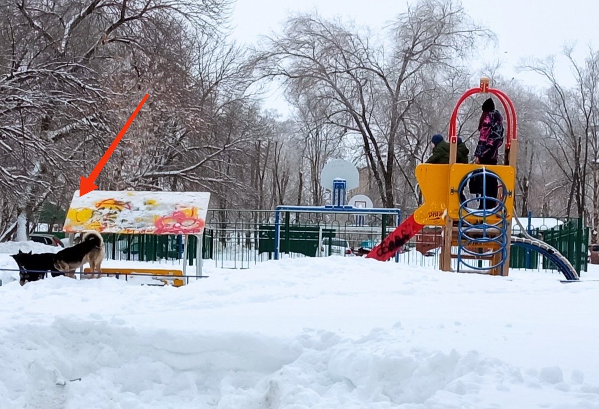 Вчера в Новокуйбышевске на детской площадке собаки загнали детей на горку. Что делать в такой ситуации детям и окружающим? Может пора полицию и росгвардию выводить для защиты жителей? Или их можно привлекать только для проверок масочного режима? <a href="/SamMobilePriem/">Мобильная приемная Губернатора Самарской области</a> @nvkbofficial