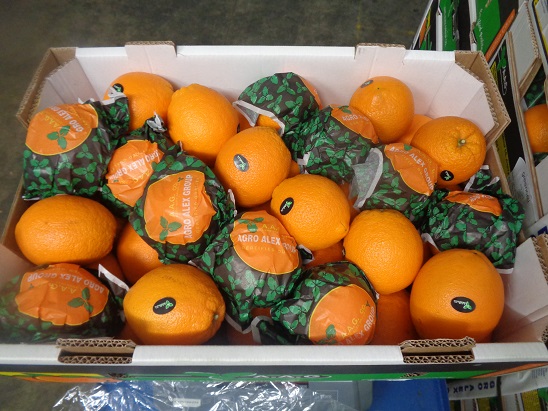 Fresh Arrival of Egyptian Navel Oranges! 🍊

#citrus #oranges