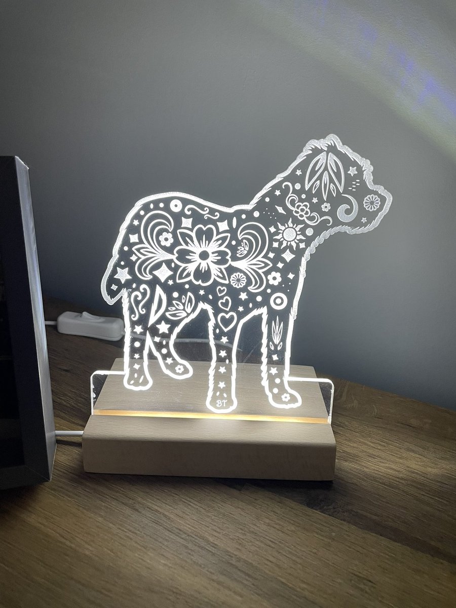 SnoopBT's tweet image. #btposse pals, what do you think of this lovely light up BT I found at @twowoofsuk? I think Snoop would of approved ❤️🌈