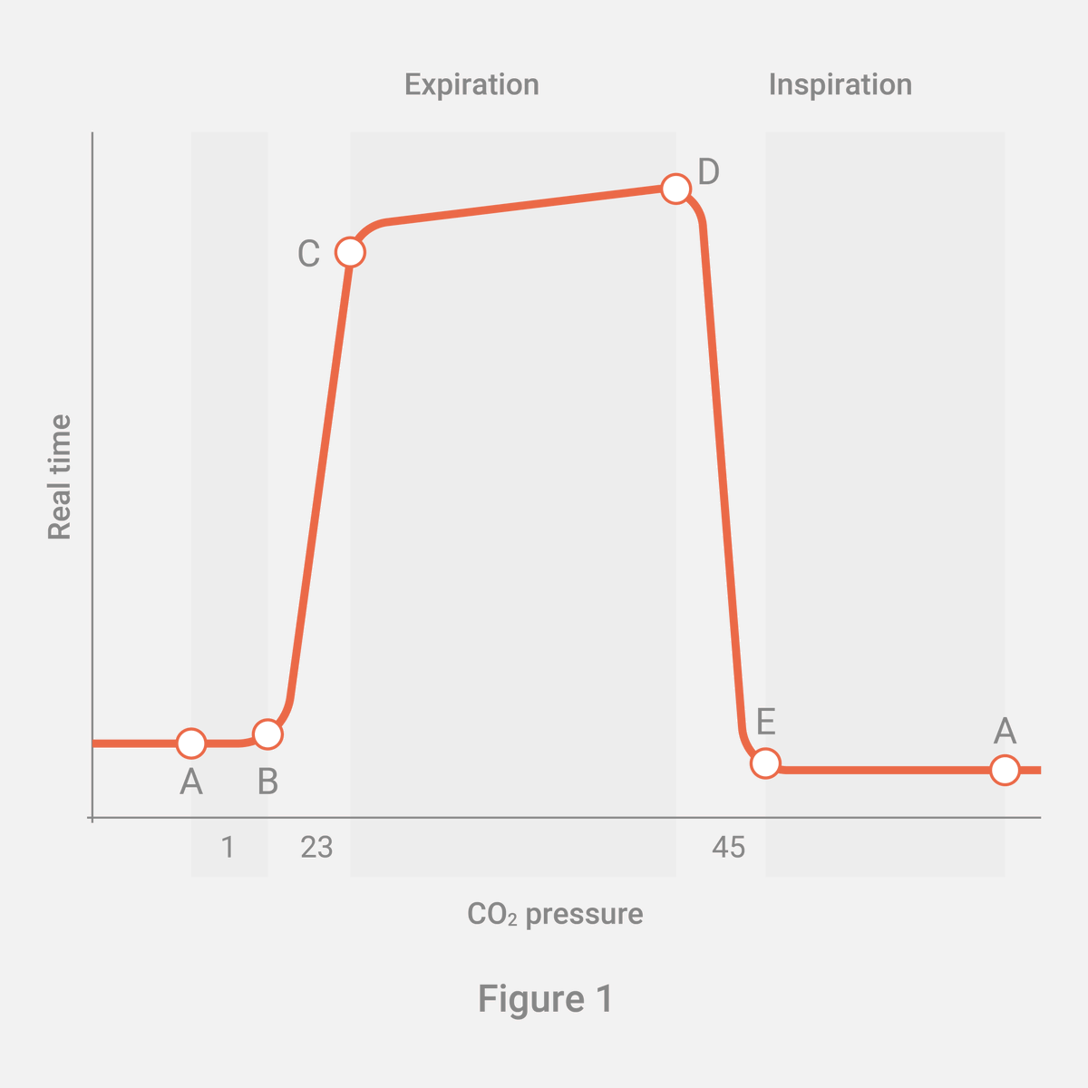 MediplusCapno's tweet photo. Waveform - the wave represents the 4 stages of the respiratory cycle:
Phase I (A-B) Occurs during inspiration
Phase 2 (B-C) Referred to as the ascending or early expiration phase
Phase 3 (C-D) Late expiration
Phase 4 (D-E) Starts at the end of the alveolar plateau
#capnogram https://t.co/nOMV6Vjw83