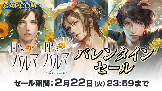 SALE/73%OFF】 囚われのパルマ デラックス エディション fawe.org
