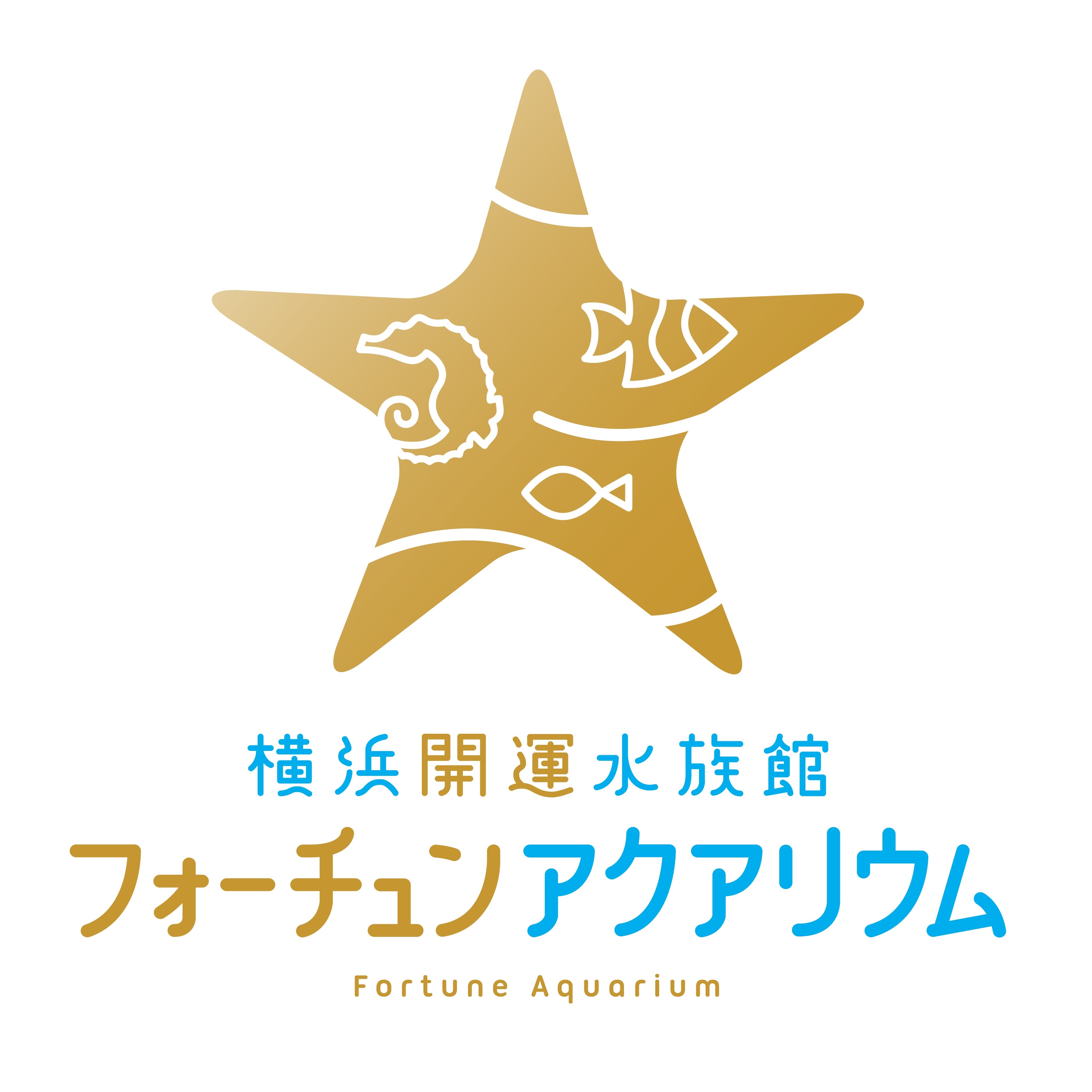 めｎち Poko Menchi Twitter