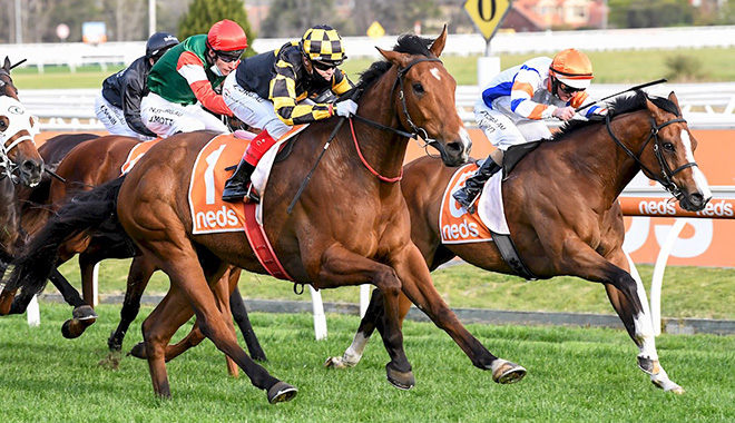 DJollyRacing tweet picture
