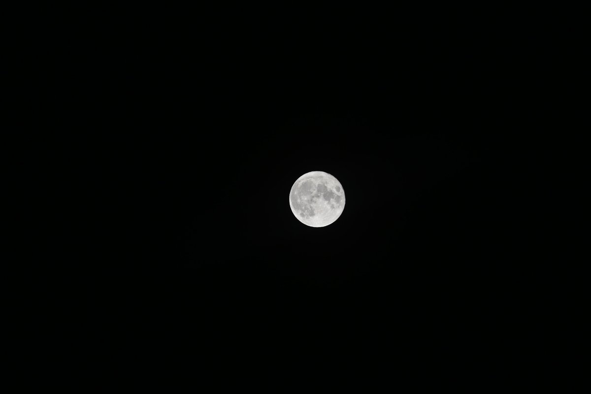PCLens4Nature's tweet photo. @Tylers_journey To the MOON https://t.co/VLOmtANtzp