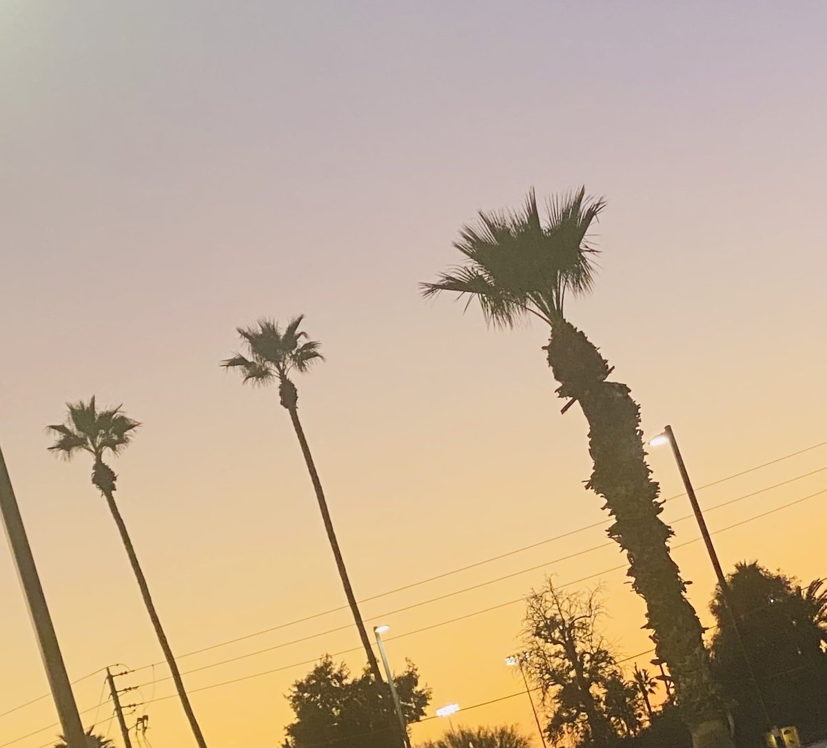DomShaunte's tweet photo. Desert skies. https://t.co/175xKZt0d1