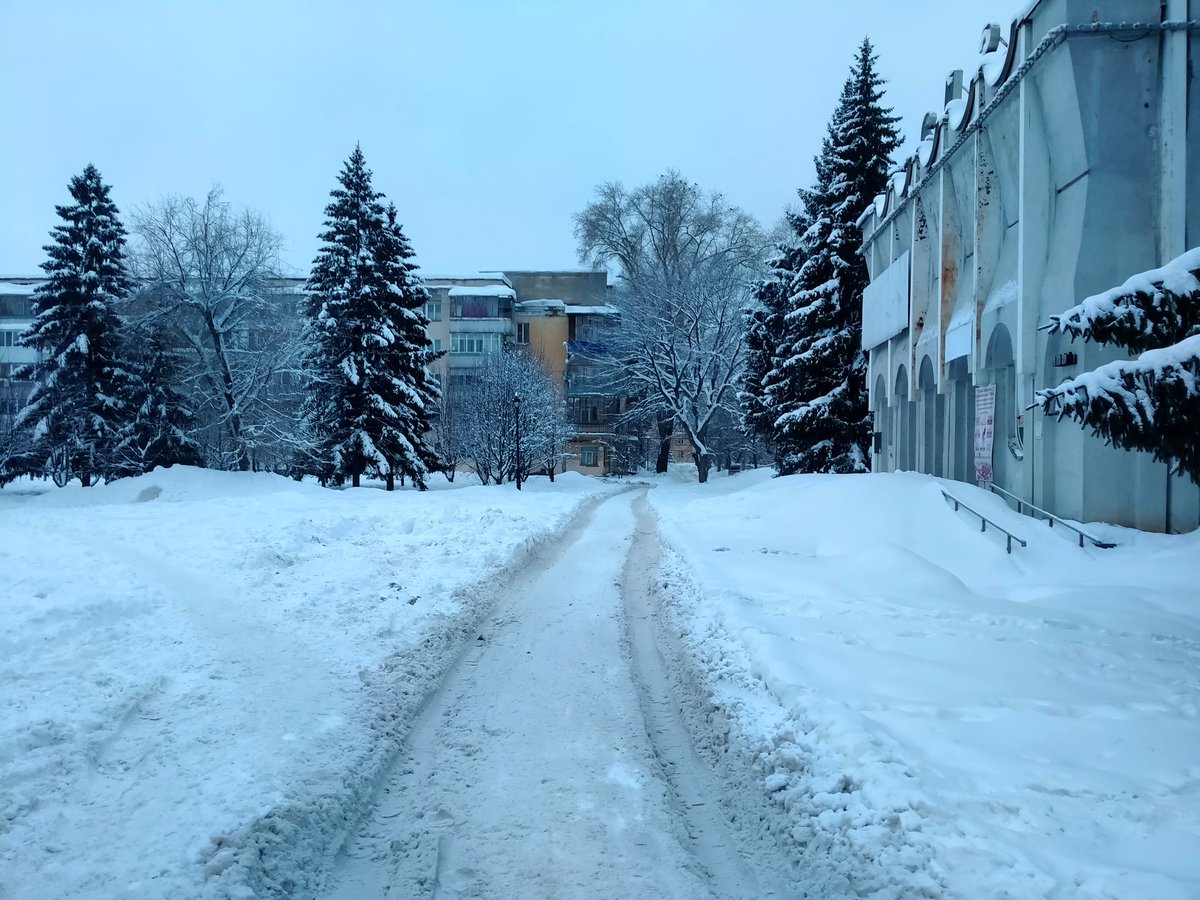 Дмитрий Котуков tweet media