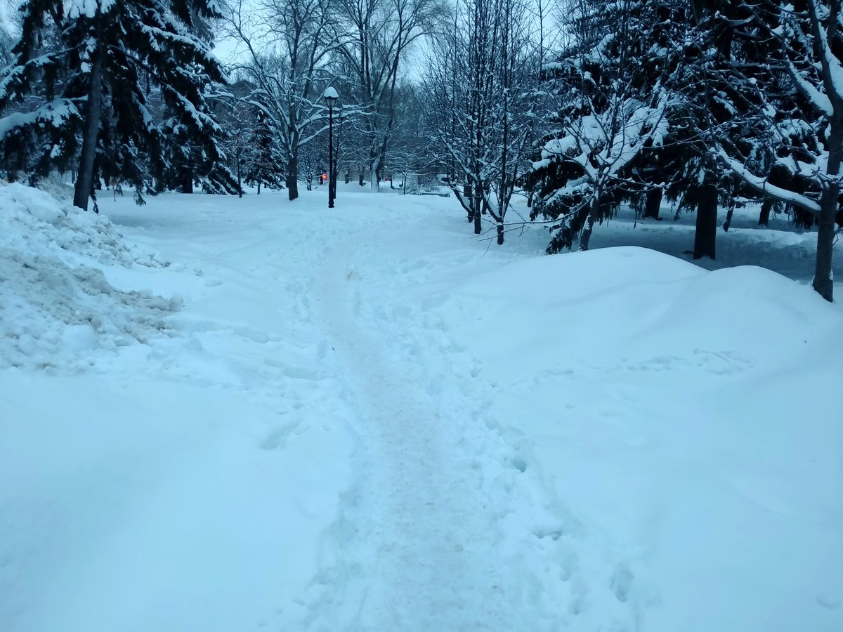 Дмитрий Котуков tweet media