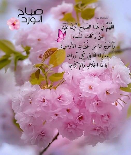 nidalaboahmad's tweet photo. https://t.co/pNwfARwHFS
