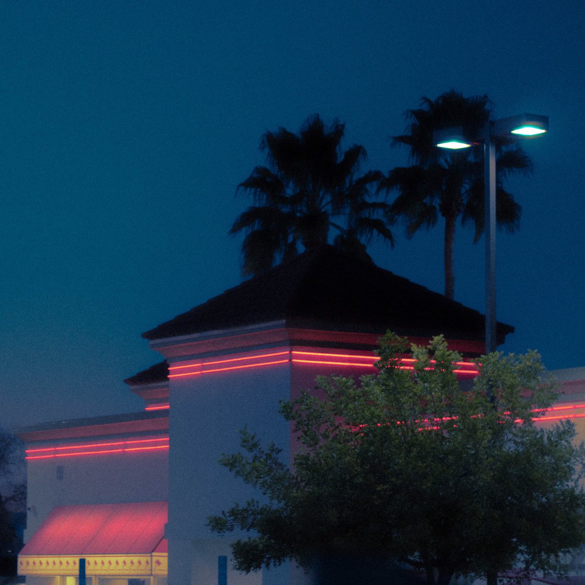 visualsofjess's tweet photo. in n out really is a vibe https://t.co/LQ6AbJ5Ofj