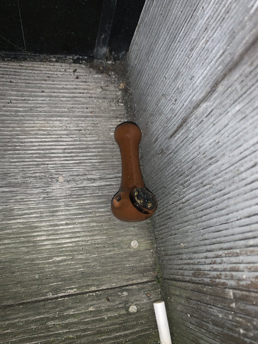 FlashlightLife's tweet image. #monkeyshines2022 Does this count?