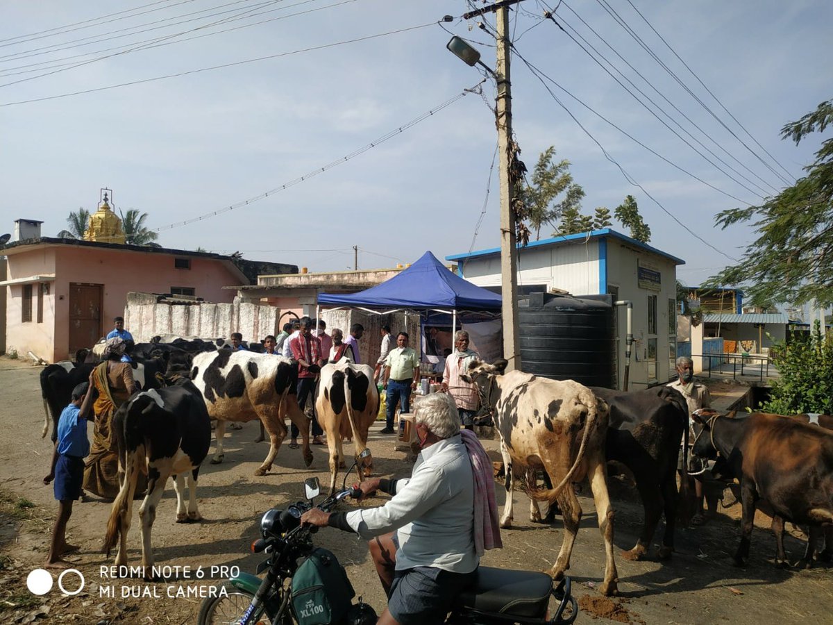 AHVS_Karnataka's tweet photo. ದಿನಾಂಕ 08/02/2022 ರಂದು ಬೆಂಗಳೂರು ಗ್ರಾಮಾಂತರ ಜಿಲ್ಲೆಯ, ದೊಡ್ಡಬಳ್ಳಾಪುರ ತಾಲೂಕಿನ, ಹೆಗಡೆಹಳ್ಳಿ ಗ್ರಾಮದಲ್ಲಿ ಬರಡು ರಾಸುಗಳ ಚಿಕಿತ್ಸಾ ಶಿಬಿರ ಮತ್ತು ಜಾನುವಾರುಗಳ ಪ್ರದರ್ಶನವನ್ನು,(1/2)
#Banglorerural #CalfRally #HealthCamp https://t.co/PDiQfkVEBM