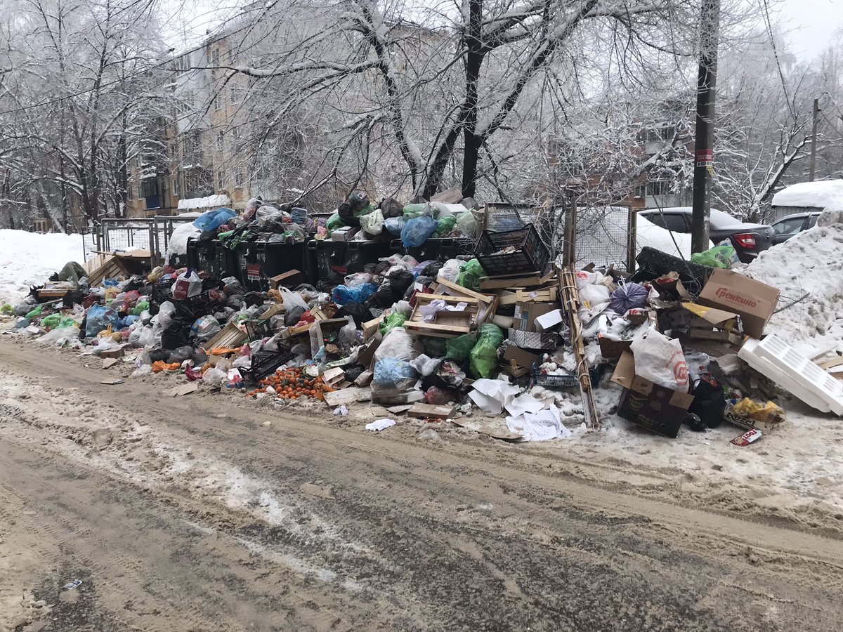 Наталья tweet media