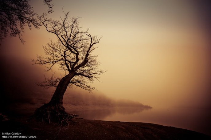 EspinMc's tweet photo. 'January Lakemood' by Kilian CabGuy #landscapephotography #landscape #NaturePhotography #nature #photographer #travelpicworld #photooftheday #photography #lake https://t.co/Cvq2YRVqv4