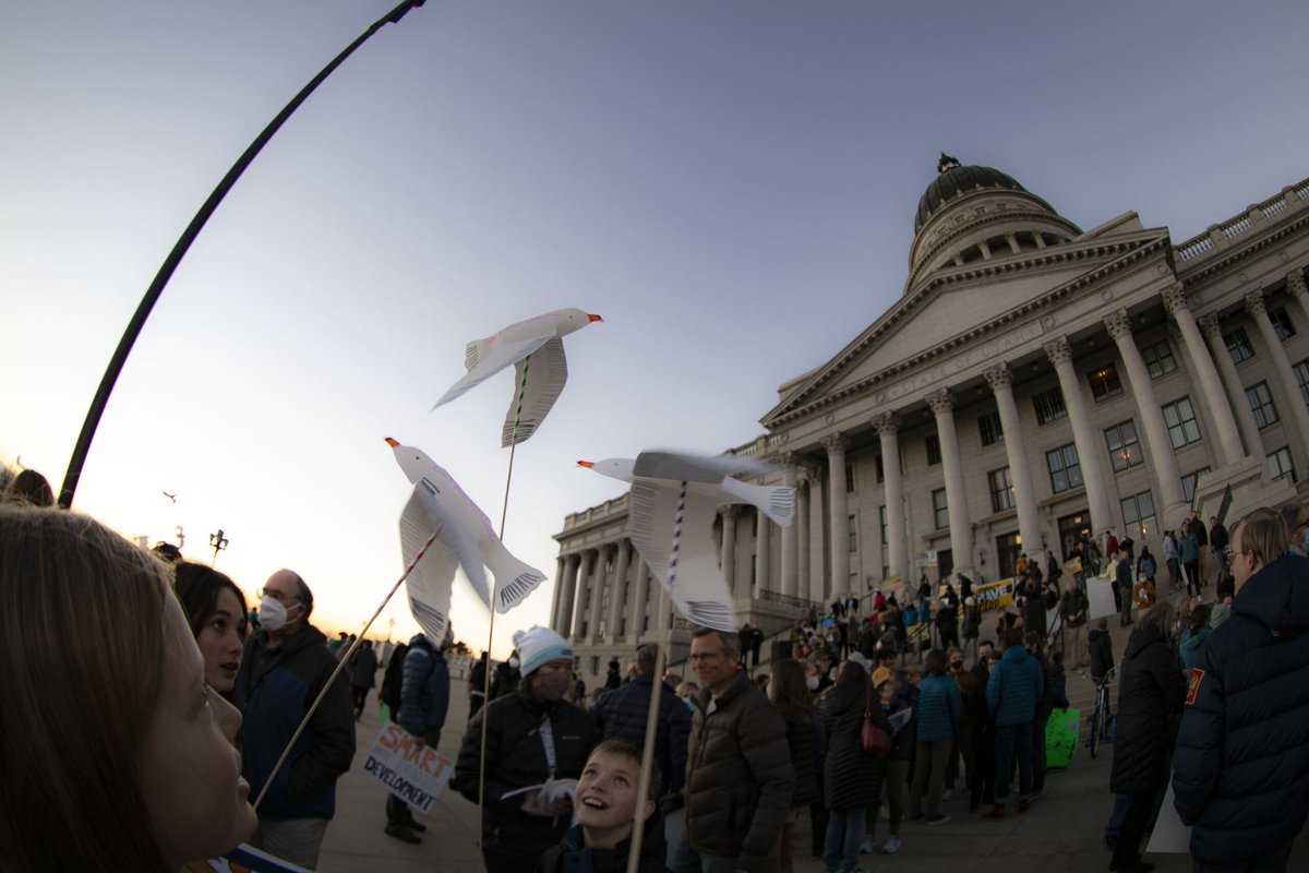 Ben Abbott tweet media