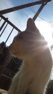 @Hoshimi1616 ウチの子は基本無視されます 