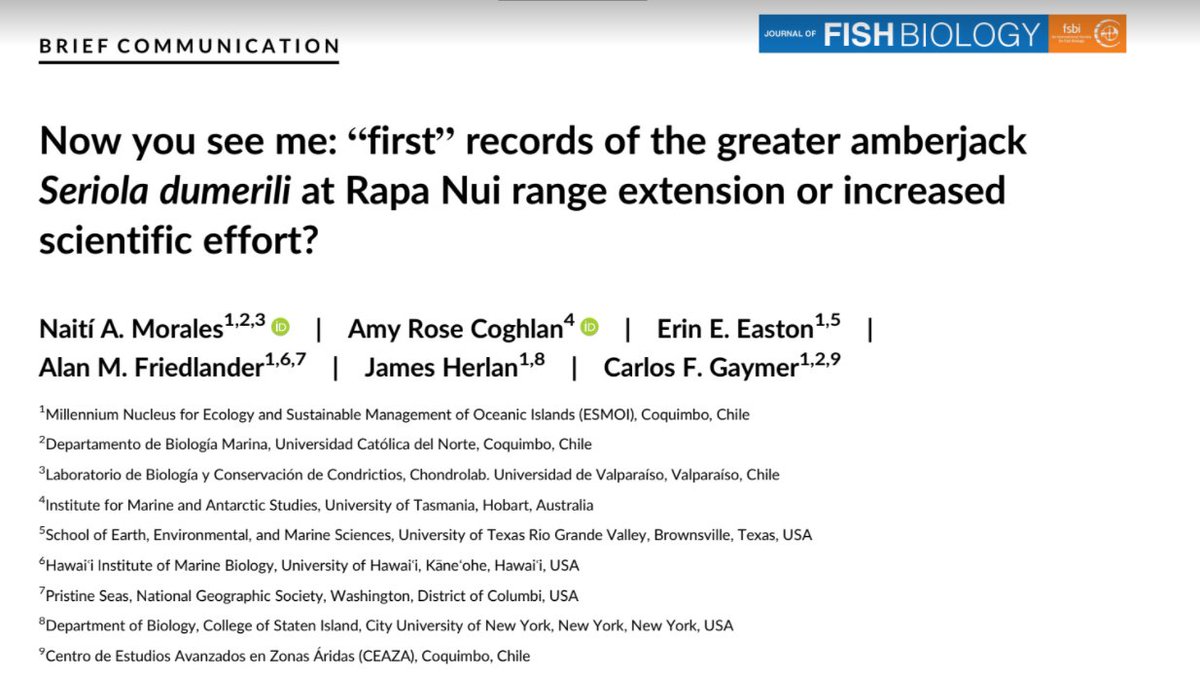 CMS_UTas's tweet photo. Acknowledging #TraditionalKnowledge is vital when studying climate-driven species #SpatialDistribution. The authors note the first “ScientificRecord” of the #GreaterAmberjack for the #RapaNui ecoregion might be old news considering #TraditionalKnowledge 👉 https://t.co/gXxXI5lXbh https://t.co/3BsMH4X3aT