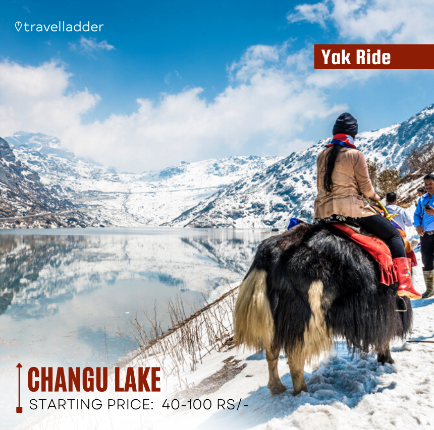 Travelladderr's tweet photo. Must visit 5 places in Sikkim
#sikkimphotography #northeastindia #northsikkim #mountains #nature #northeast #himalayas #travelgram #travelblogger #diaries #photography #gangtokdiaries #darjeeling #naturephotography #sikkimtravel #lachung #wanderlust #yumthangvalley #sikkimtourism https://t.co/lm7BzXr0Pw
