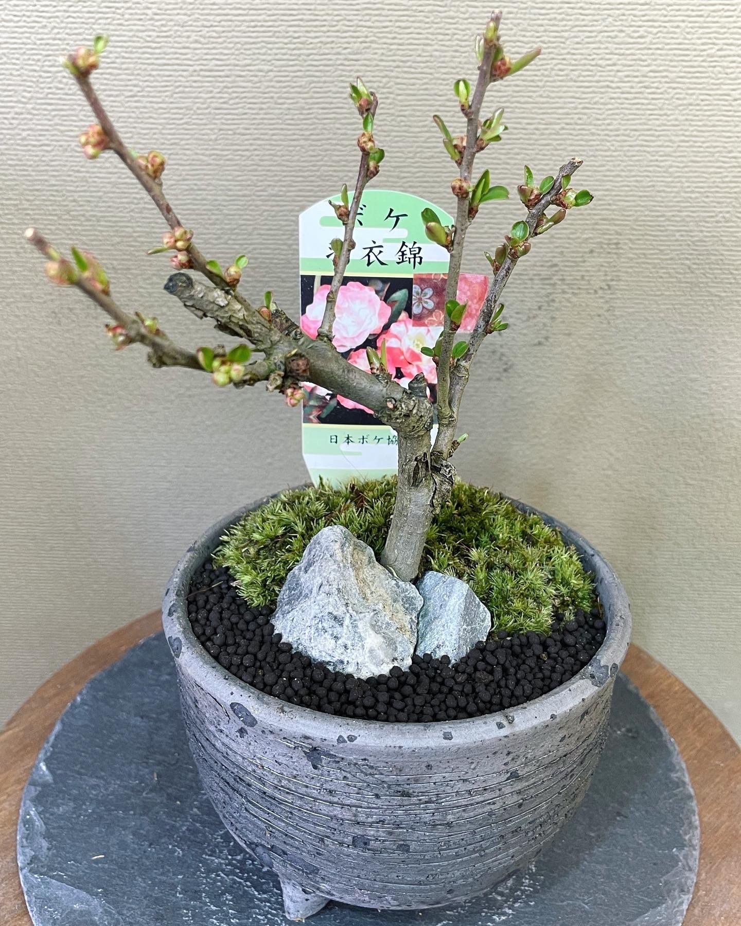 Decouvrez Le Tweet De Fioria8787 Date Du 9 Fevr 22 Sur Twitter Twitter