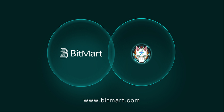 CryptoWizardd tweet picture